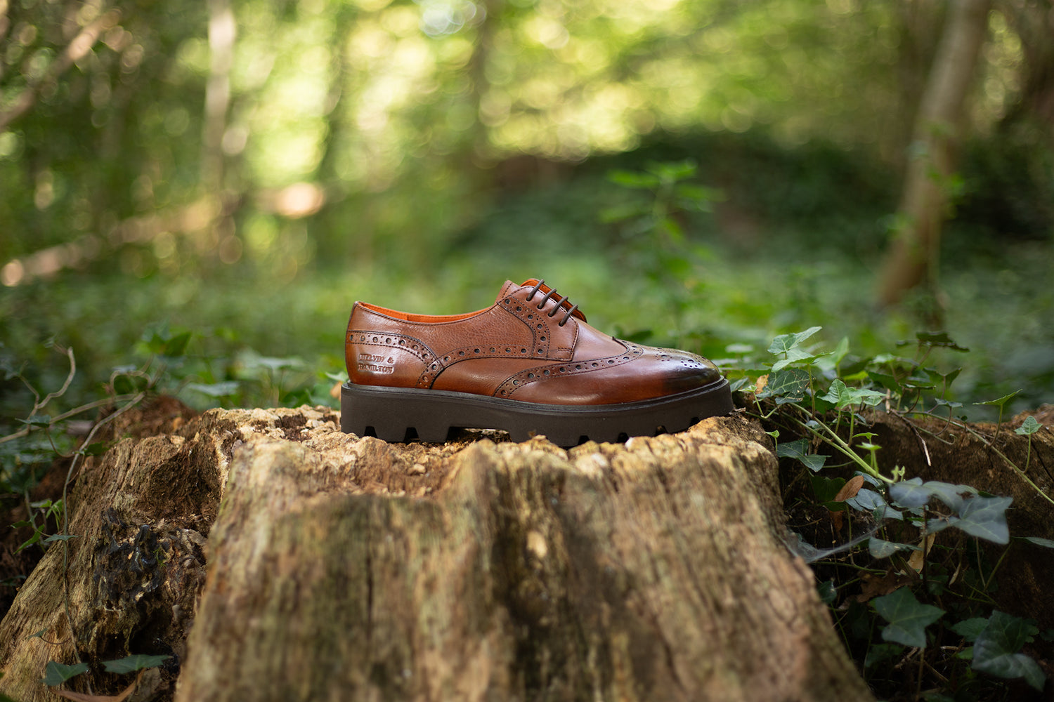 Derbies Femme Jenny 6 Melvin & Hamilton