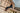 Bridie 2|hero_img