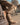 la collection adley Melvin & Hamilton 