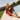Wilma 58|hero_img