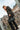 Capri|model