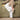 Adley 23|hero_img