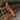 Regine 22|hero_img