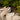 Adley 3|hero_img