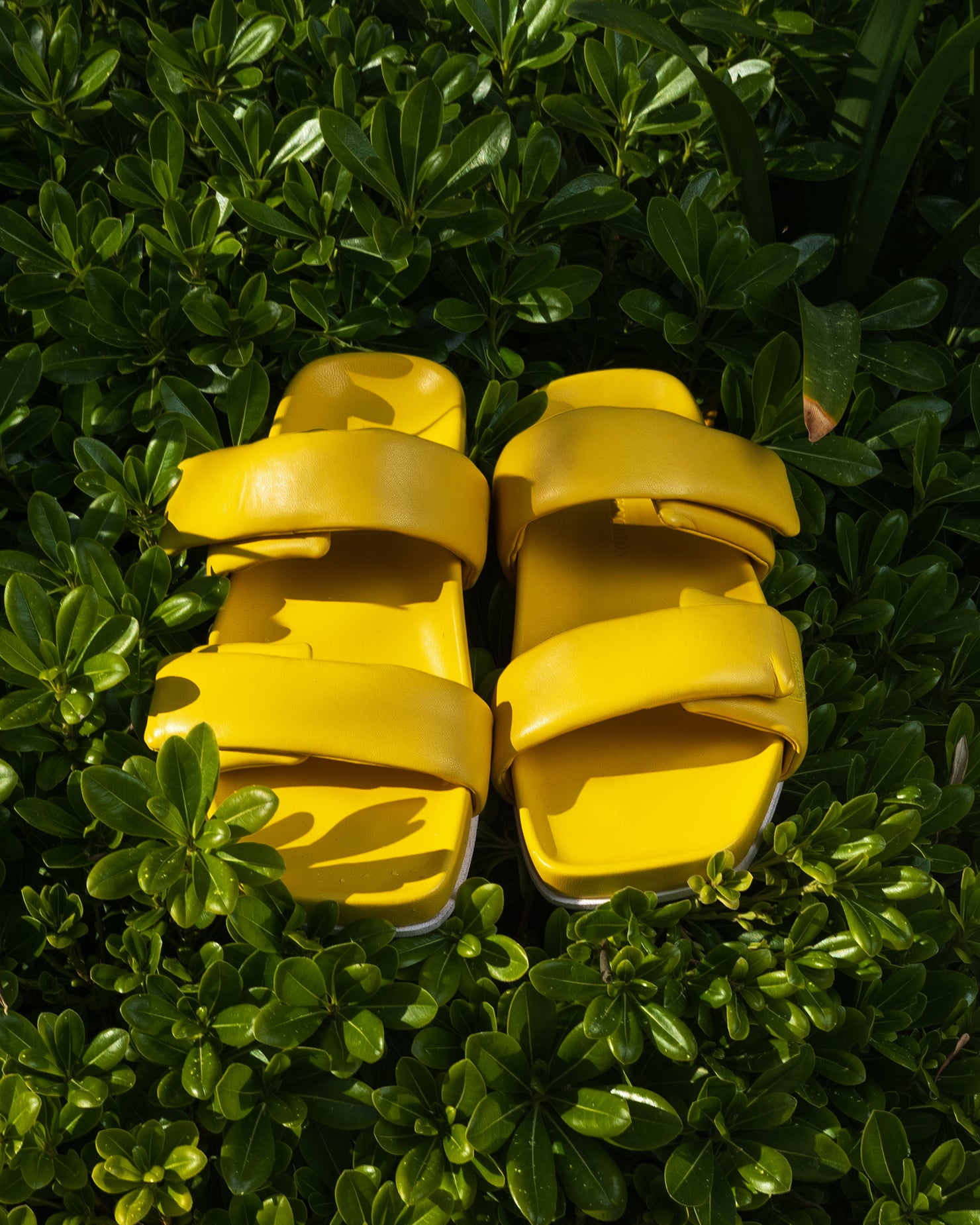 Mules pour femme Amara 1 SS24 Melvin & Hamilton
