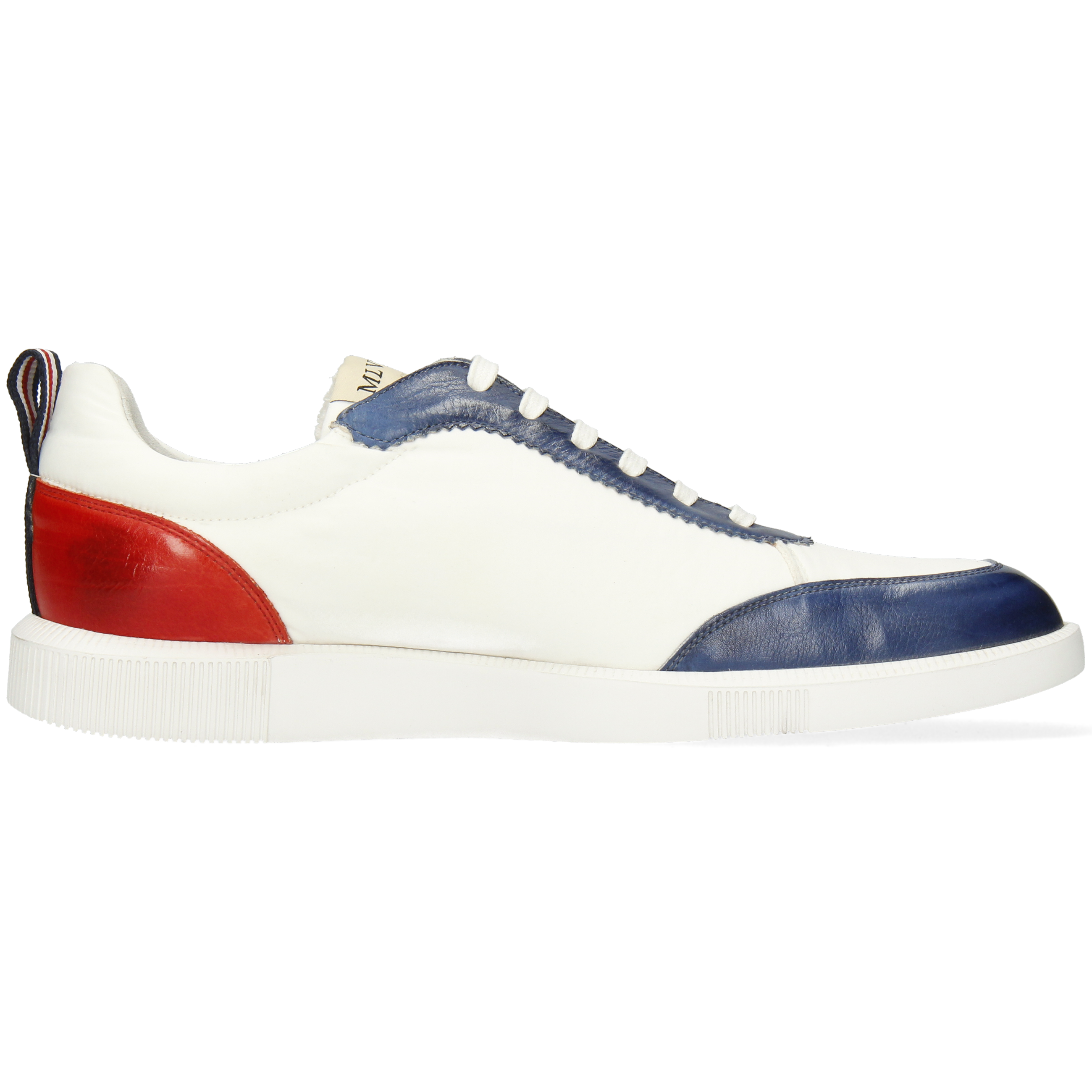 Newton 15