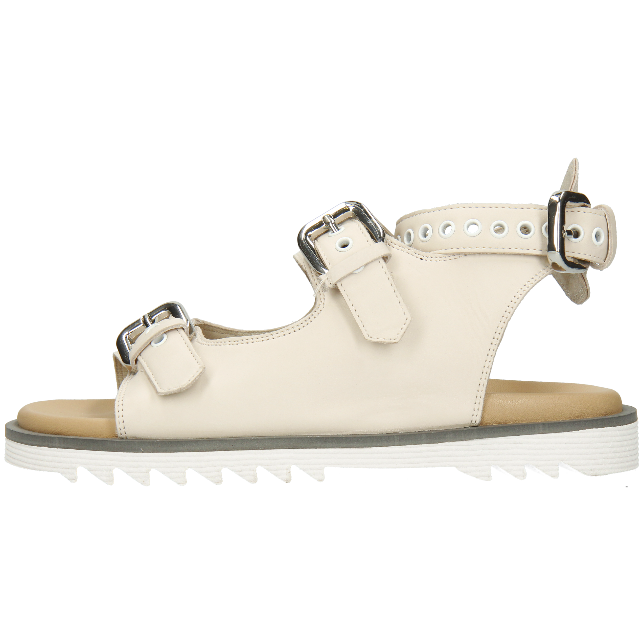 Wilma 37