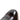 Tom 13 