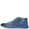 Newton 2
