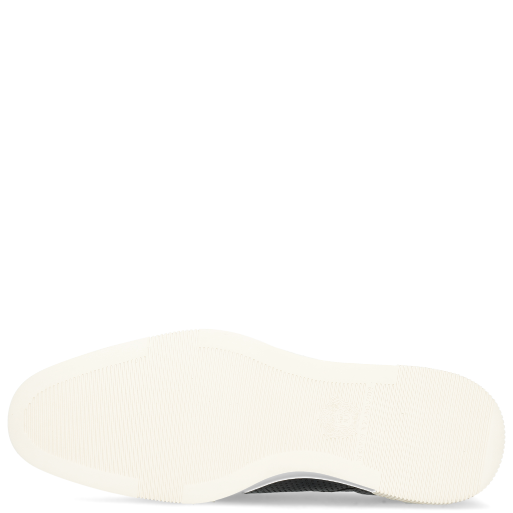 Newton 1