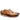 Scott 1