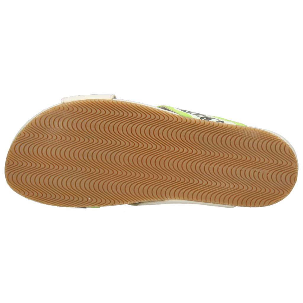 Robert 16