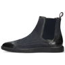 Newton 17