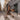 Cassy 3|hero_img
