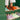 Adley 3|hero_img