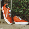 Harvey 49|hero_img