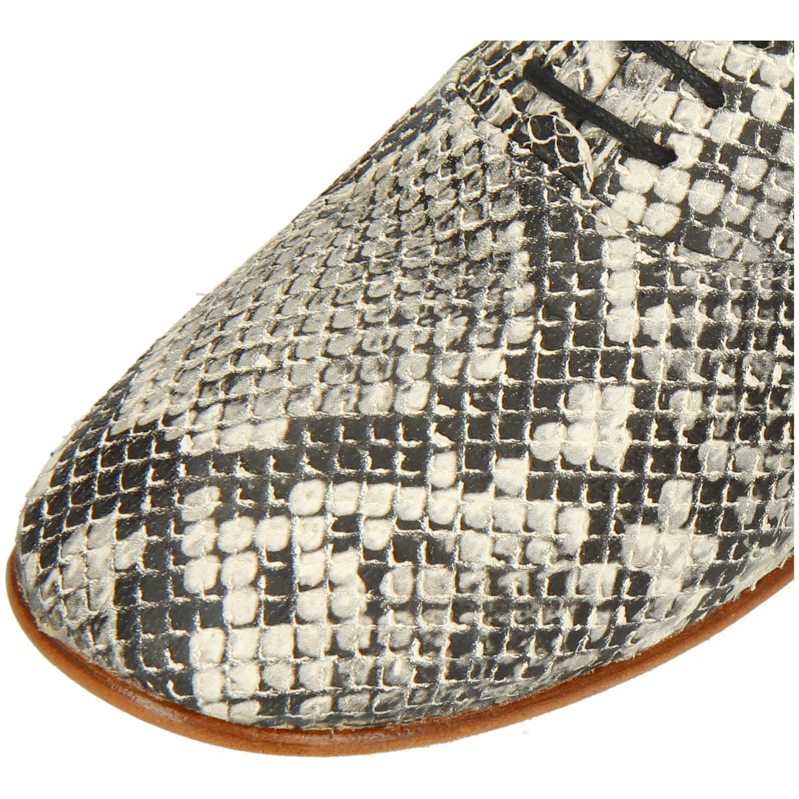 Iris 13