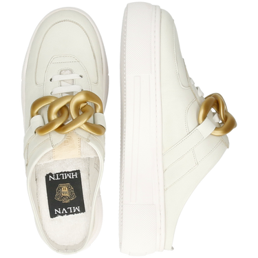 Amber 24