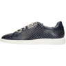 Newton 24