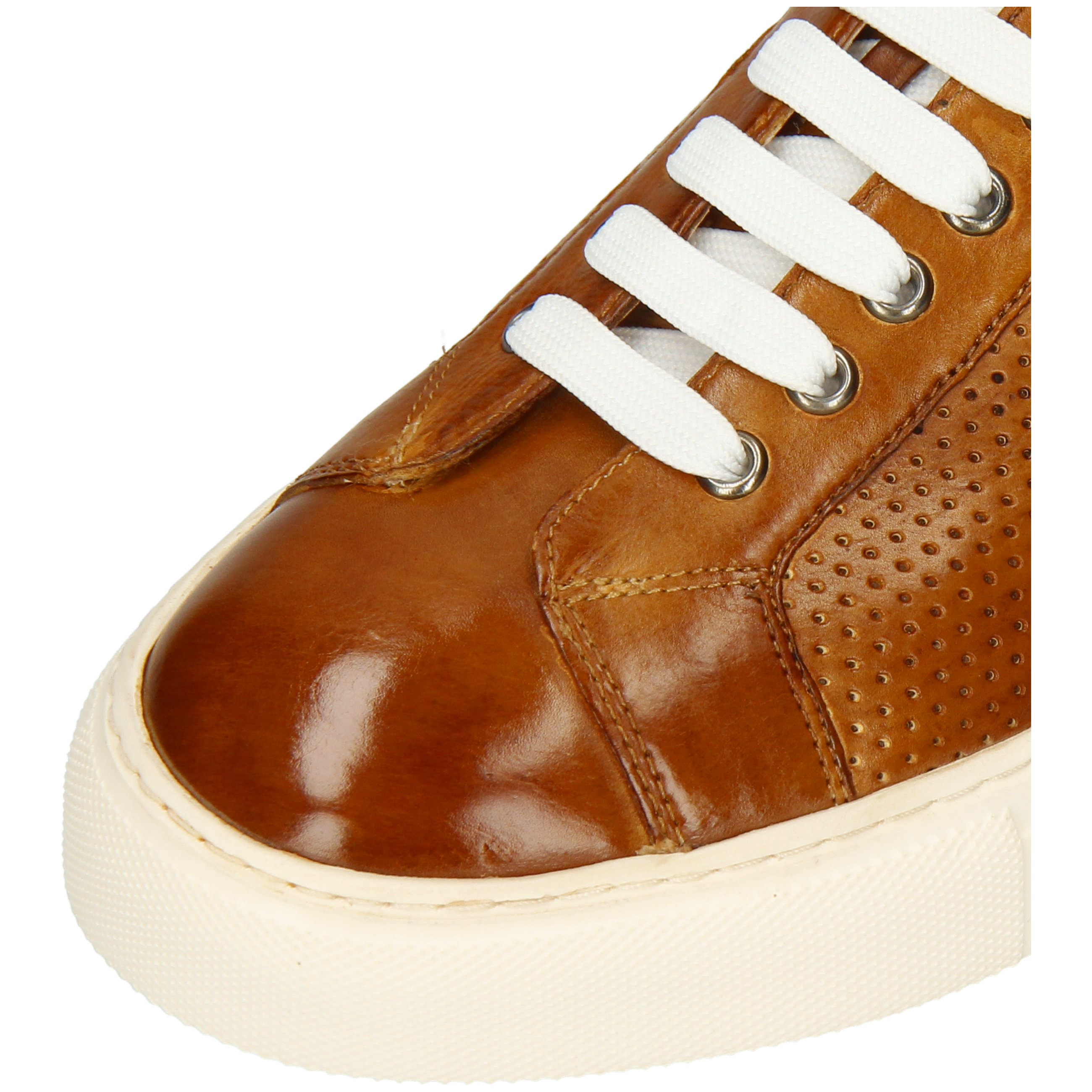 Harvey 73