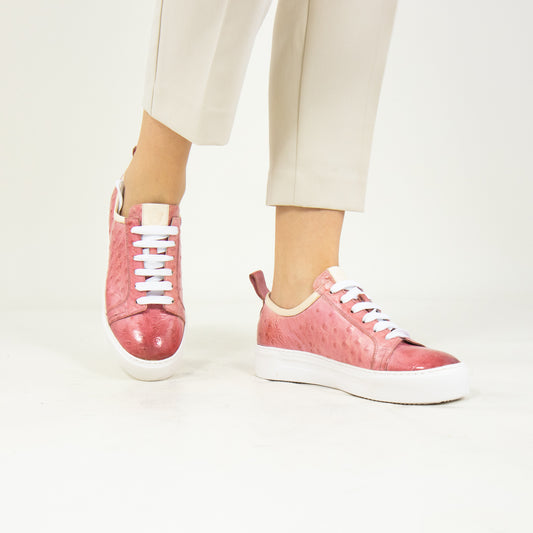 Amber 6|model
