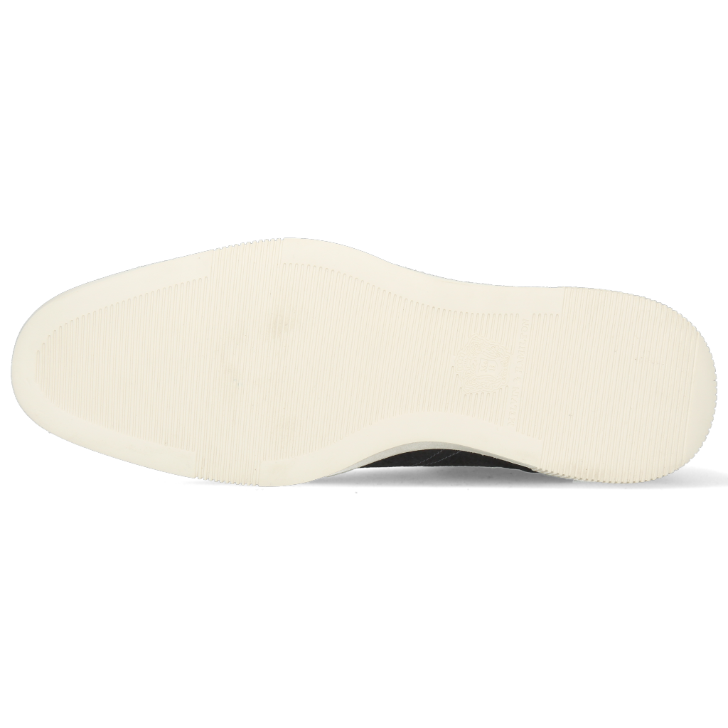 Newton 20