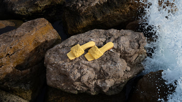 Eglantine 1|hero_img