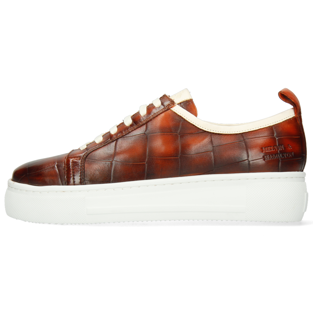 Amber 6