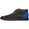 Newton 2