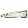 Alexa 33